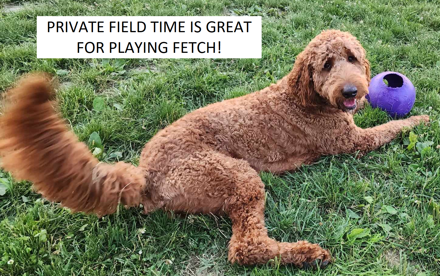 FIELD TIME PIC